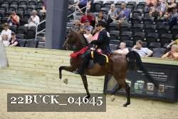 22BUCK_04645 proof