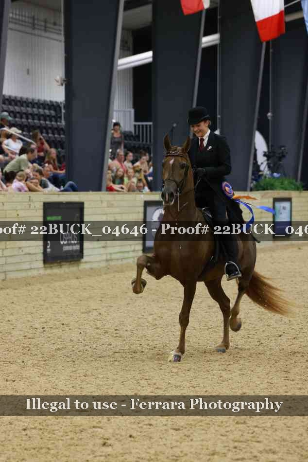 Proof 22BUCK_04646