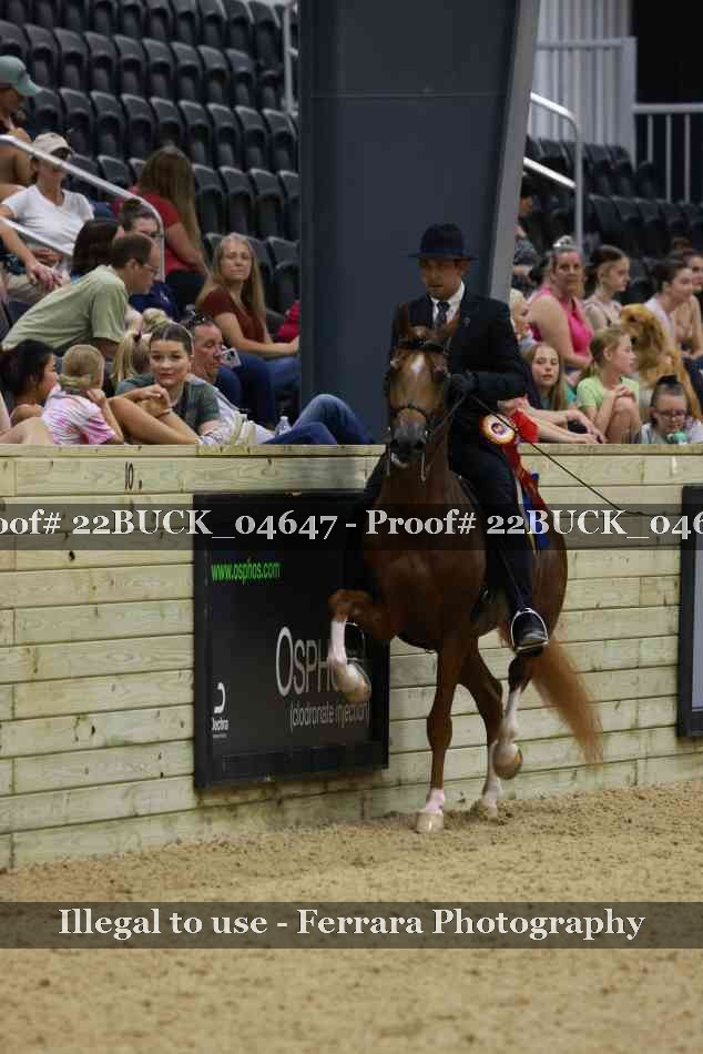 Proof 22BUCK_04647
