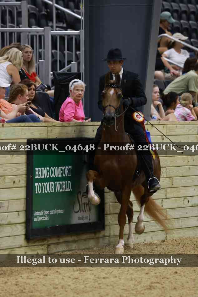 Proof 22BUCK_04648