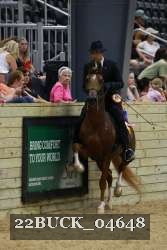 22BUCK_04648 proof