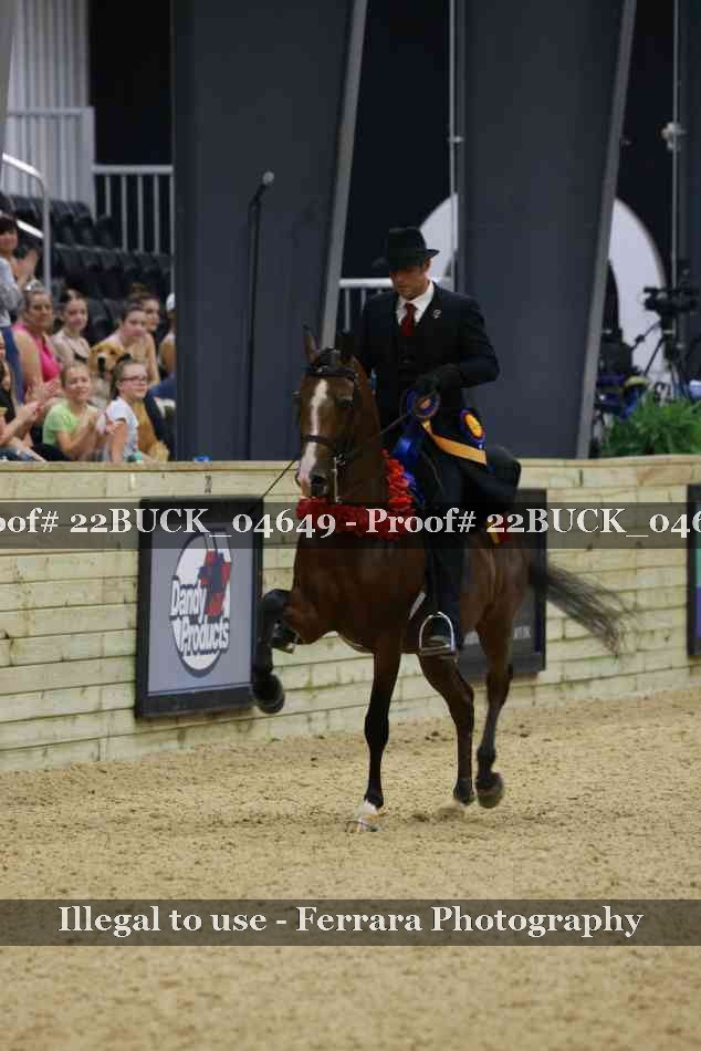 Proof 22BUCK_04649