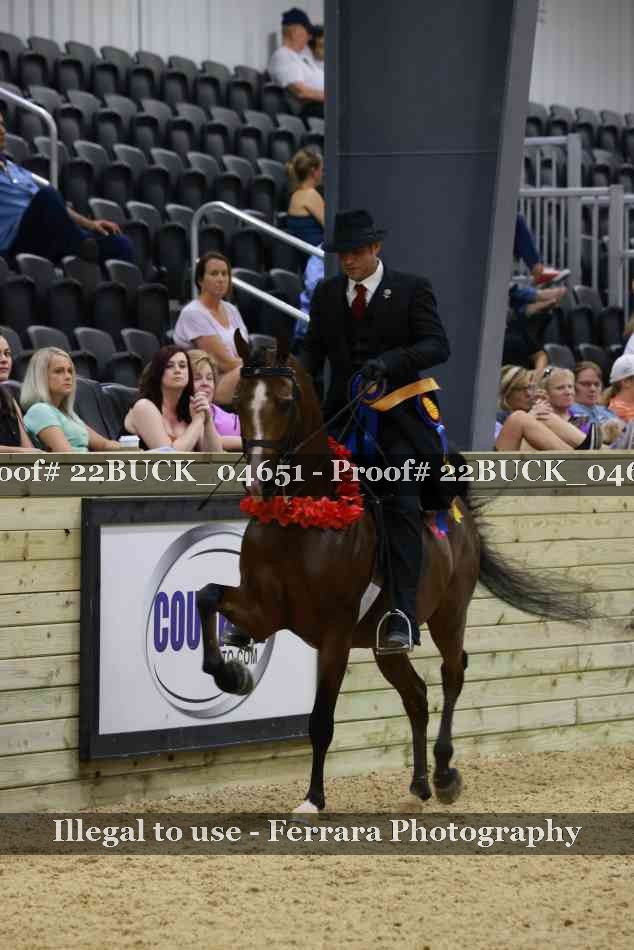 Proof 22BUCK_04651