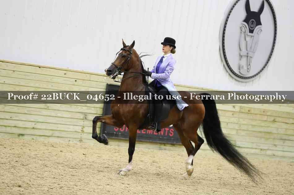 Proof 22BUCK_04652