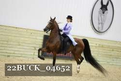 22BUCK_04652 proof