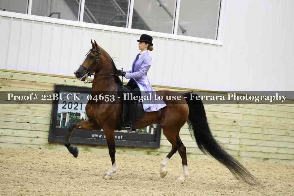 Proof 22BUCK_04653