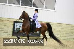 22BUCK_04653 proof