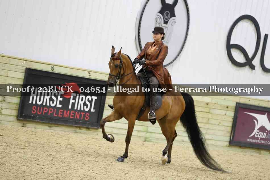 Proof 22BUCK_04654