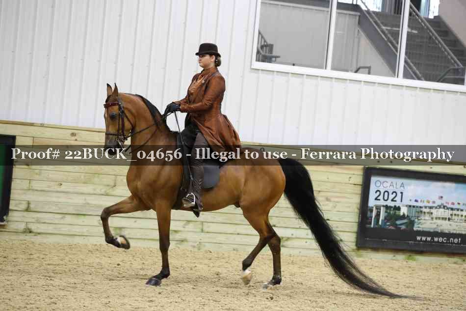 Proof 22BUCK_04656