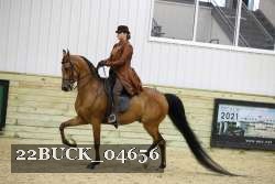22BUCK_04656 proof