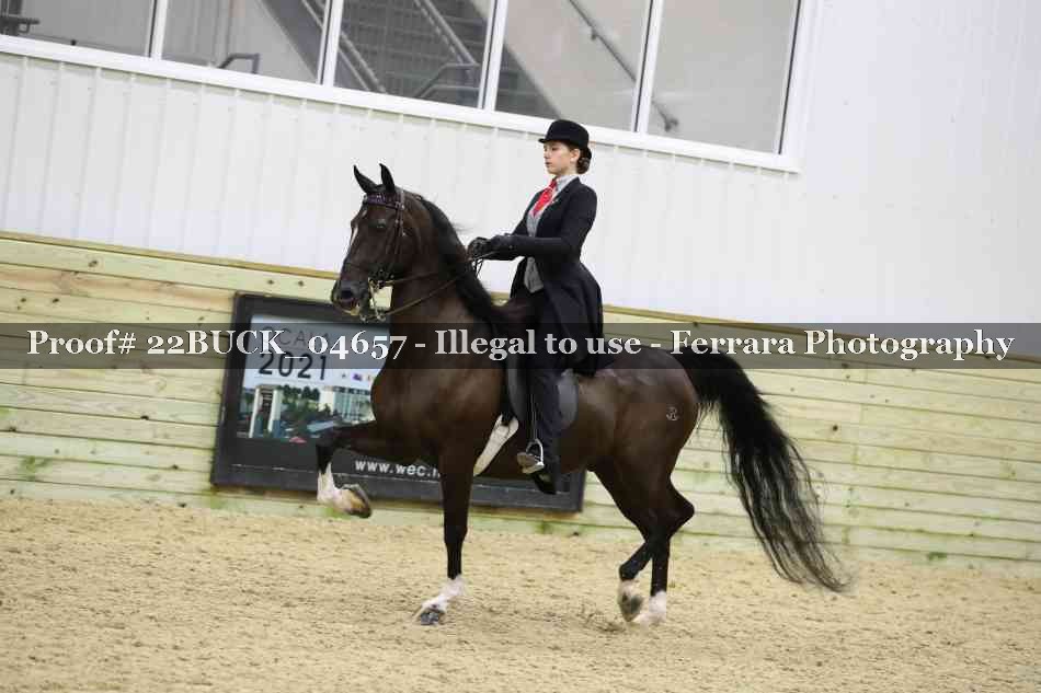 Proof 22BUCK_04657