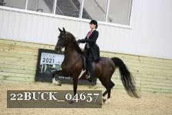 22BUCK_04657 proof