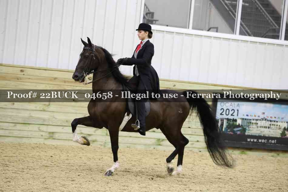 Proof 22BUCK_04658