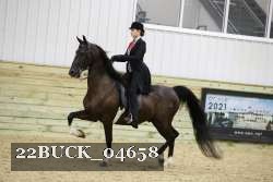 22BUCK_04658 proof