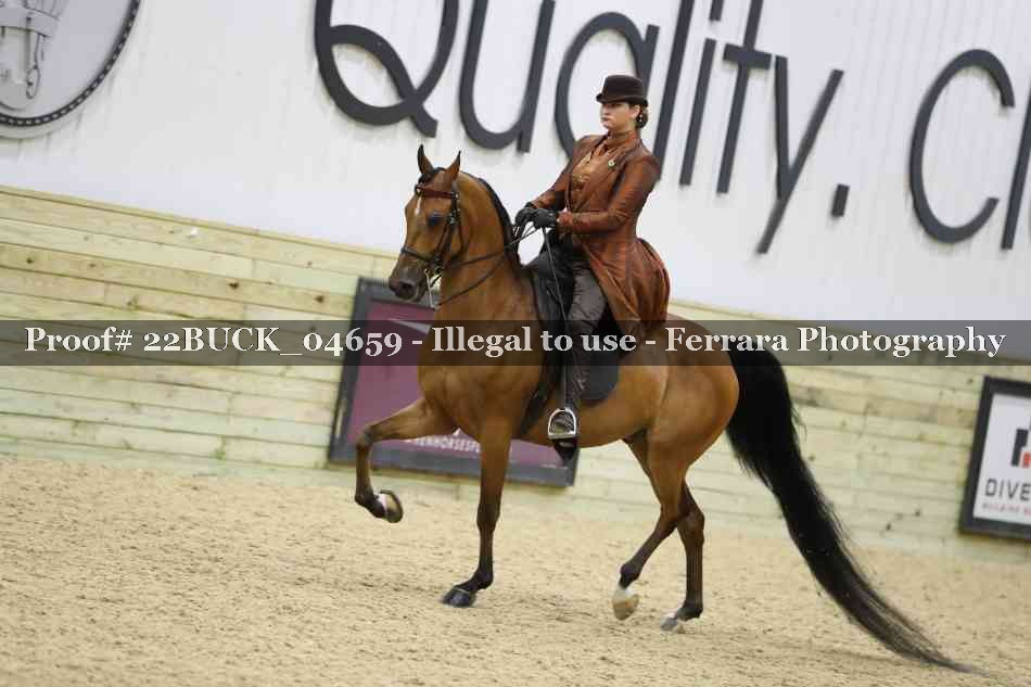 Proof 22BUCK_04659