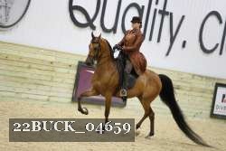 22BUCK_04659 proof