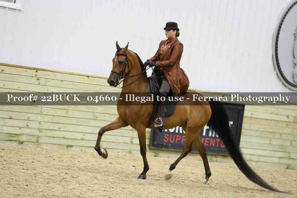 Proof 22BUCK_04660