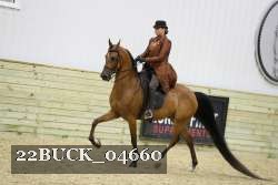 22BUCK_04660 proof