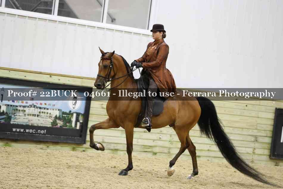 Proof 22BUCK_04661