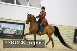 22BUCK_04661 proof