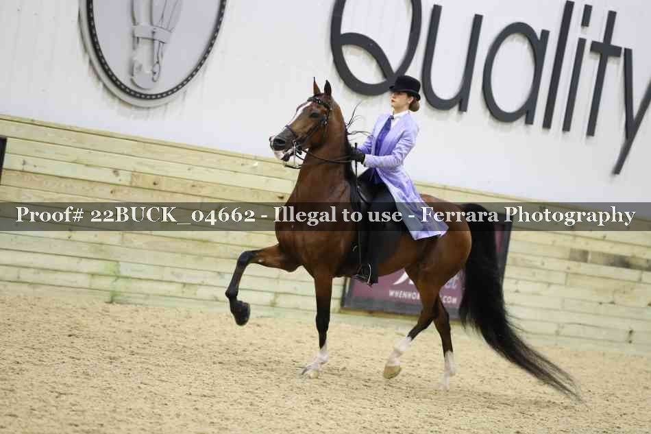 Proof 22BUCK_04662