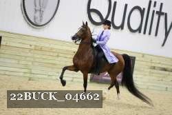 22BUCK_04662 proof