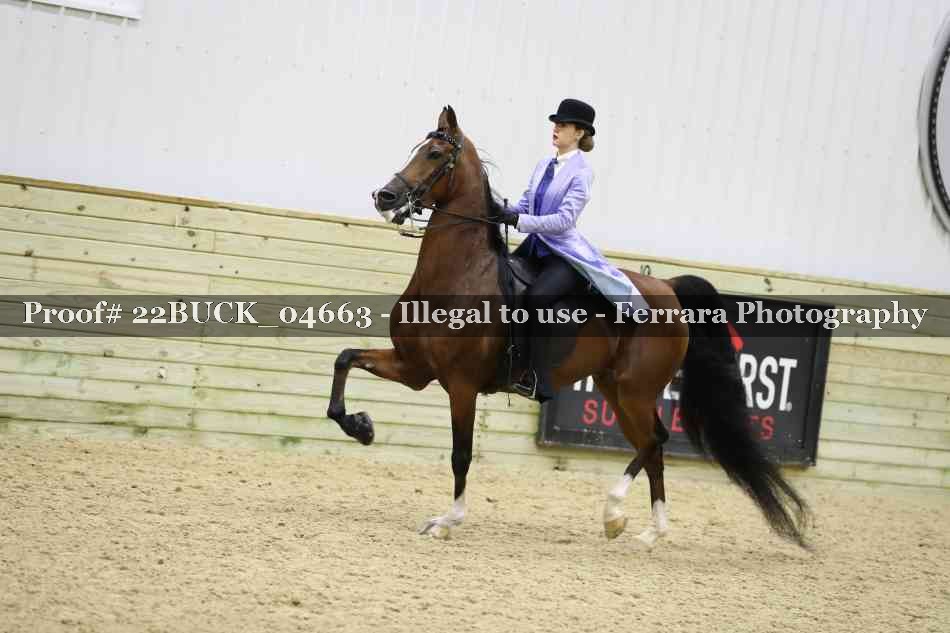 Proof 22BUCK_04663