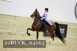 22BUCK_04663 proof