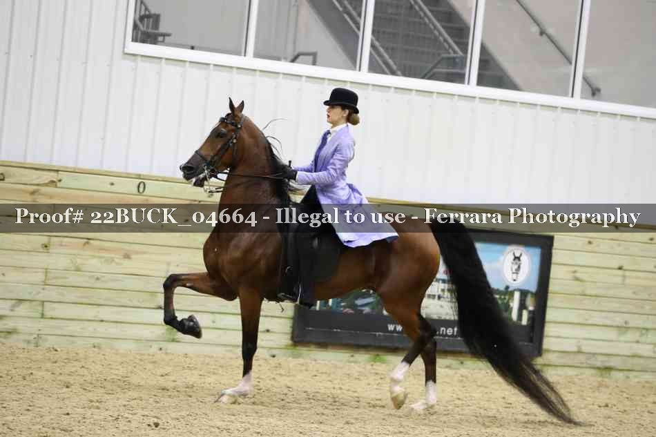 Proof 22BUCK_04664