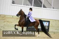 22BUCK_04664 proof