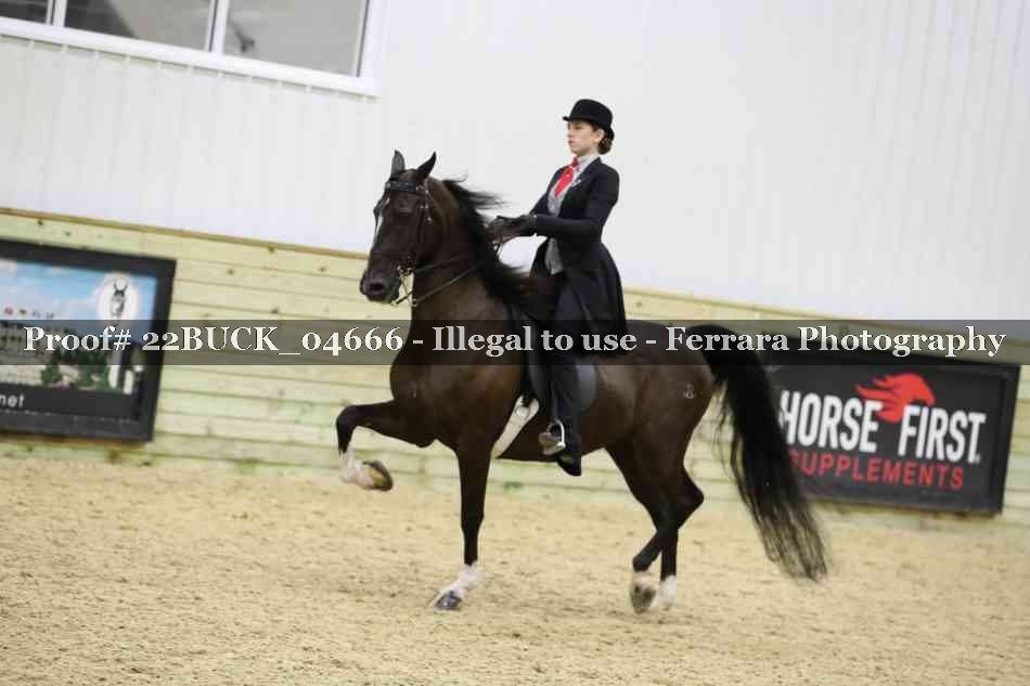 Proof 22BUCK_04666