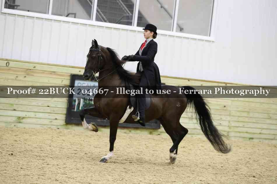 Proof 22BUCK_04667