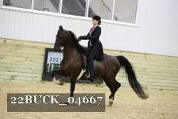 22BUCK_04667 proof