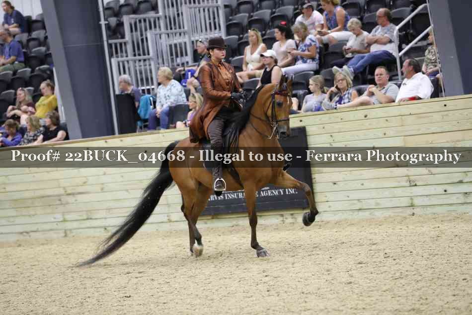 Proof 22BUCK_04668