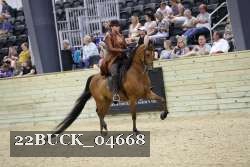 22BUCK_04668 proof