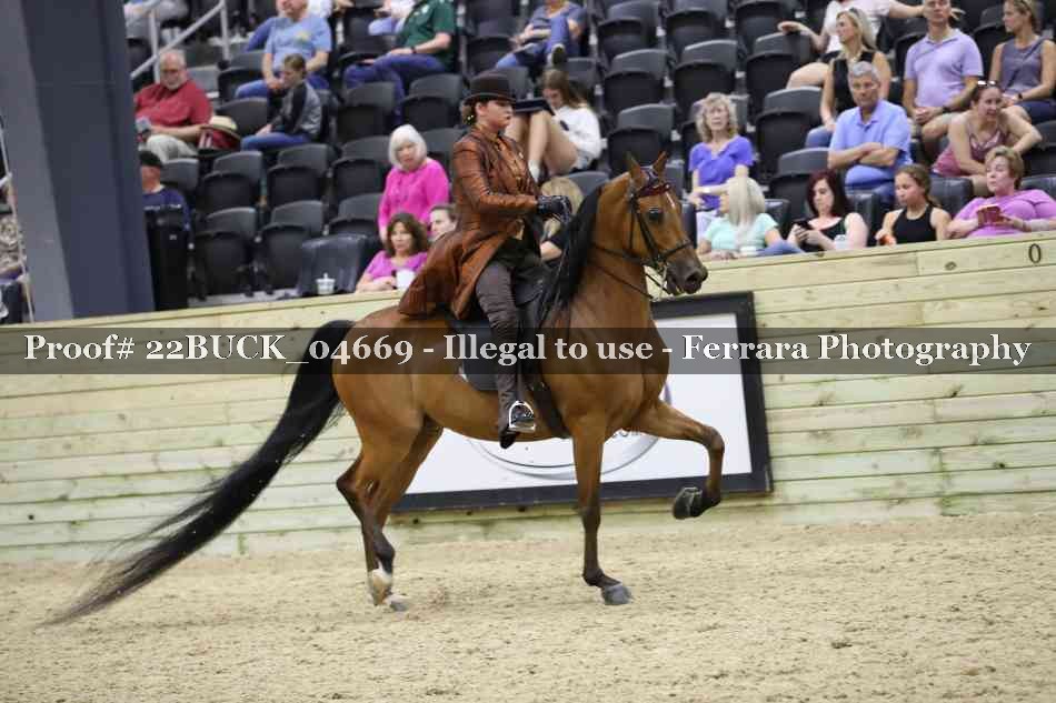 Proof 22BUCK_04669