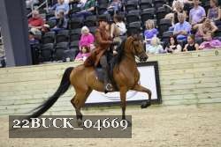 22BUCK_04669 proof