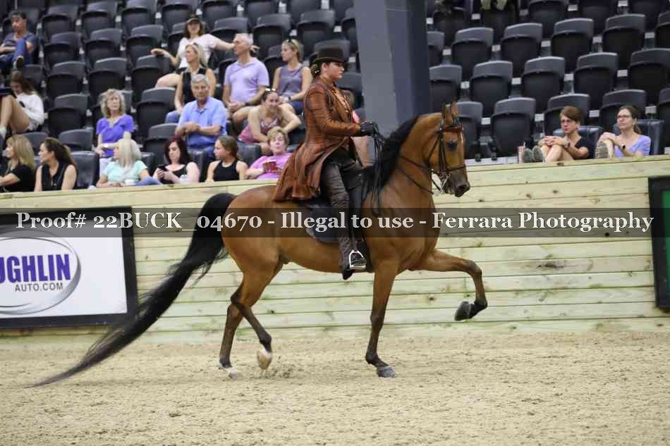 Proof 22BUCK_04670