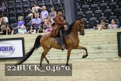 22BUCK_04670 proof