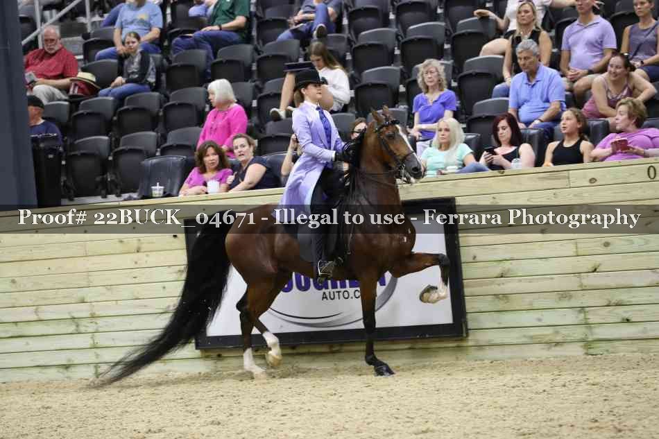 Proof 22BUCK_04671
