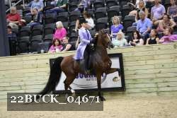 22BUCK_04671 proof