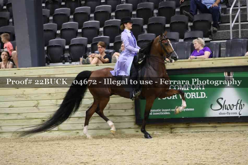 Proof 22BUCK_04672