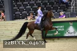 22BUCK_04672 proof
