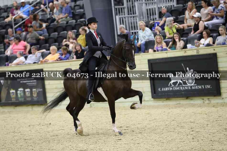 Proof 22BUCK_04673