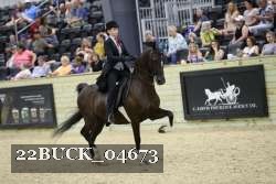 22BUCK_04673 proof