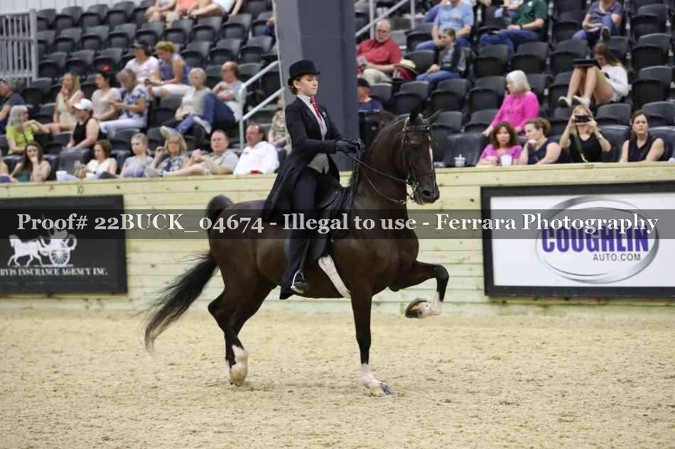 Proof 22BUCK_04674