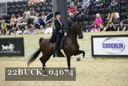 22BUCK_04674 proof