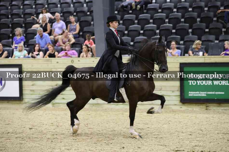 Proof 22BUCK_04675