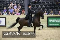 22BUCK_04675 proof