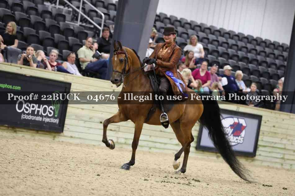 Proof 22BUCK_04676